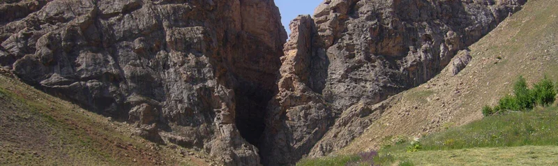 تنگ واشی