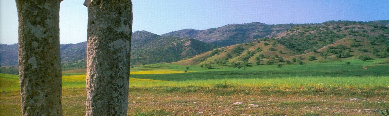 دو گور دوپا