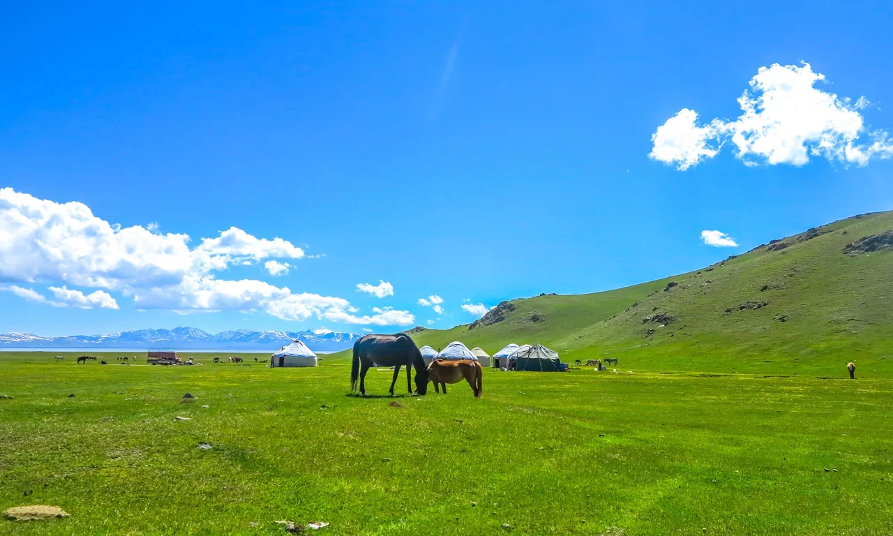 اسب‌سواری در قرقیزستان؛ راهنمای یورت، سون‌کول و فرهنگ عشایری