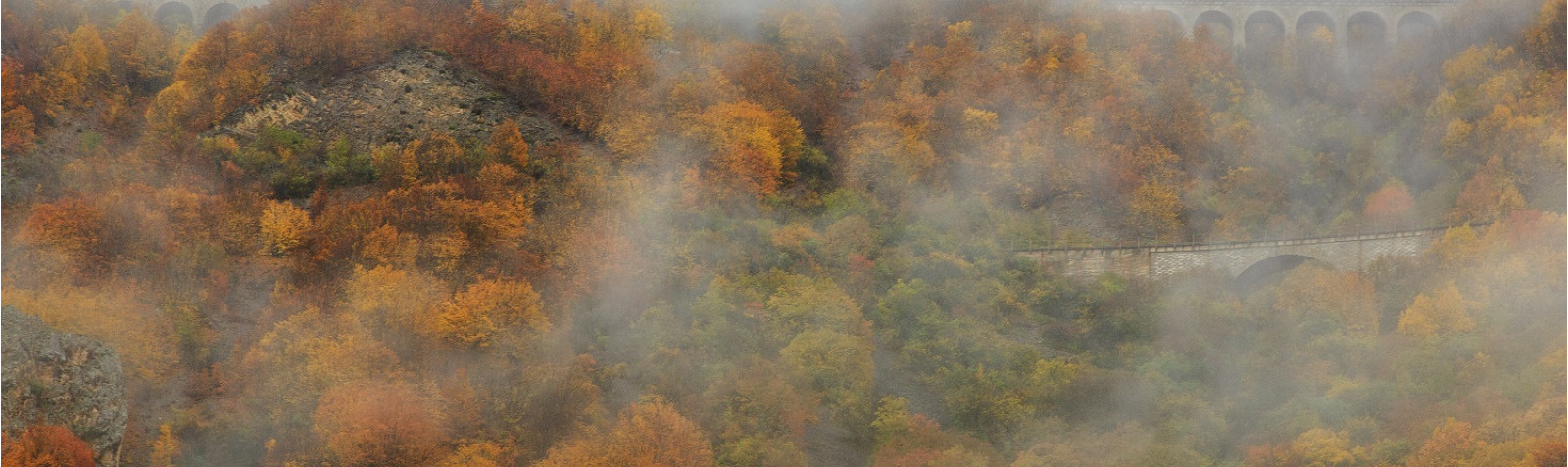 راه آهن سراسری ایران