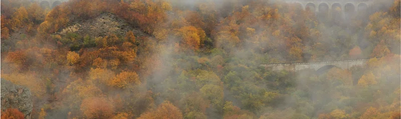 راه آهن سراسری ایران
