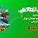 در سفر سریلانکا کجاها میریم؟