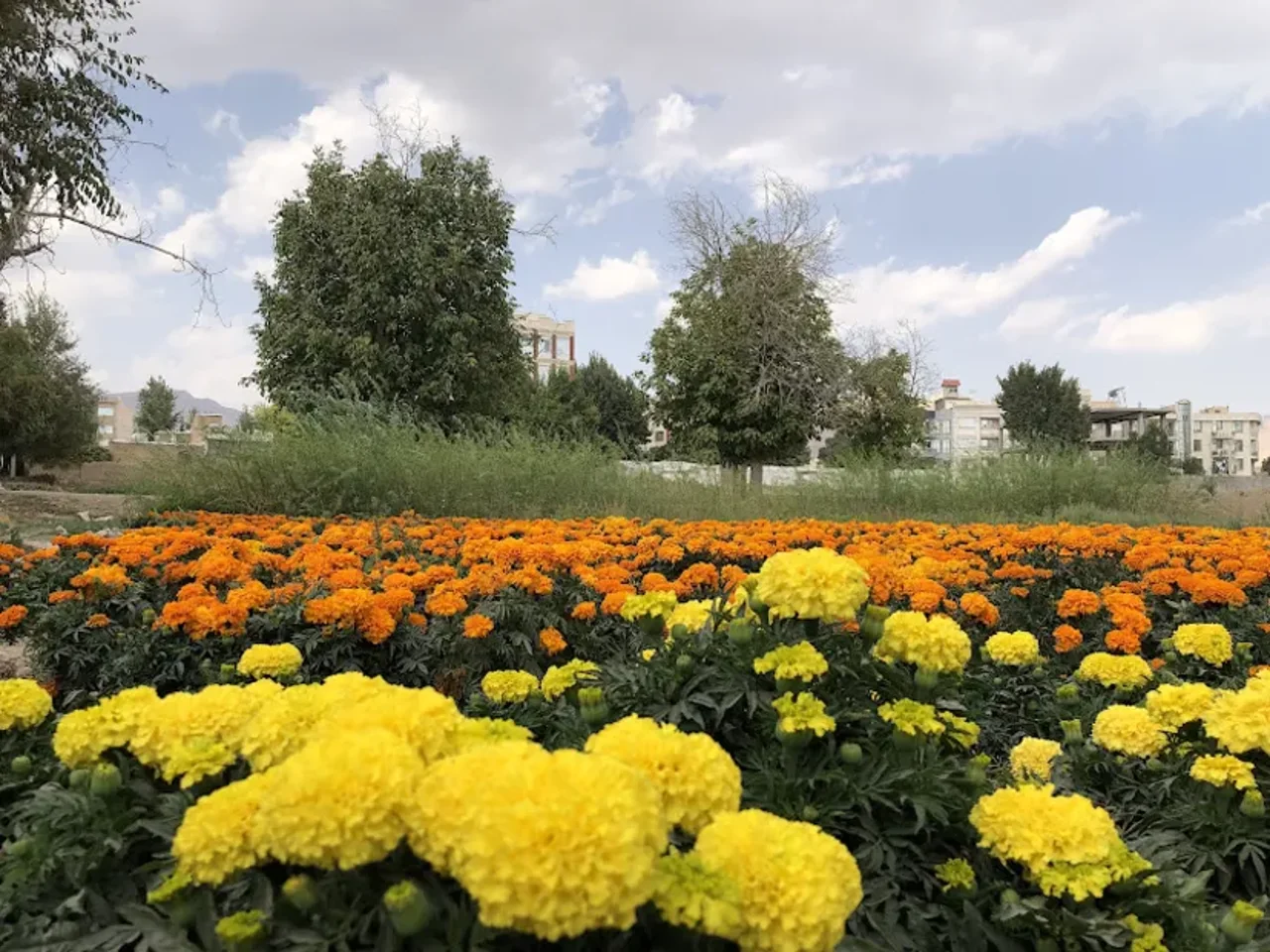 سفر یک‌روزه به محلات؛ راهنمای کامل دیدنی‌ها، مسیر و برنامه سفر