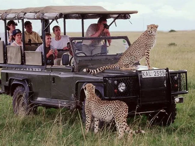 تور گروهی حیات وحش آفریقا- دی ماه 1404