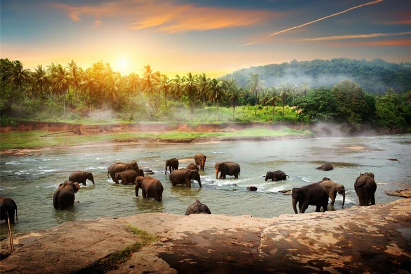 راهنمای سفر به سریلانکا