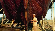 لنج سازی