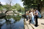 چهل‌ و‌ چهار چشمه تاجیکستان