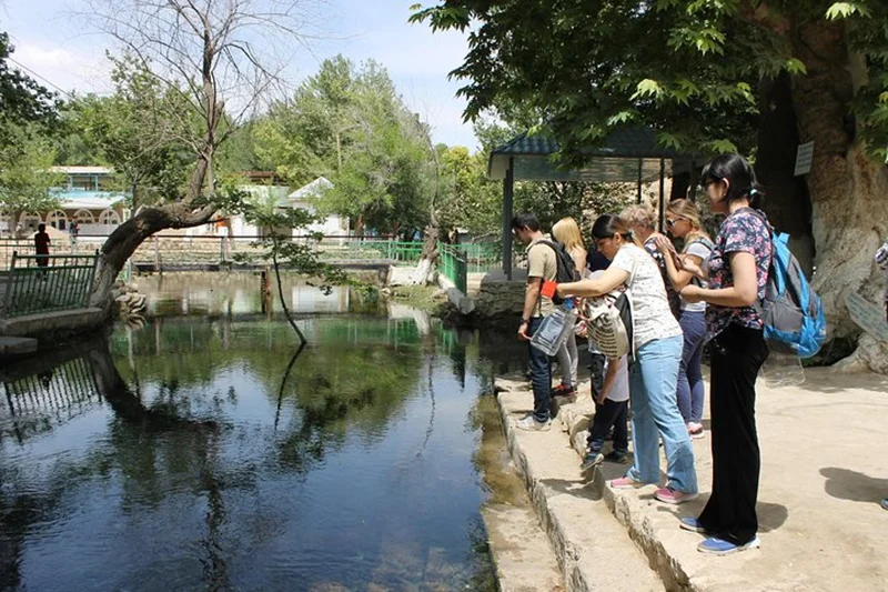 چهل و چهار چشمه تاجیکستان