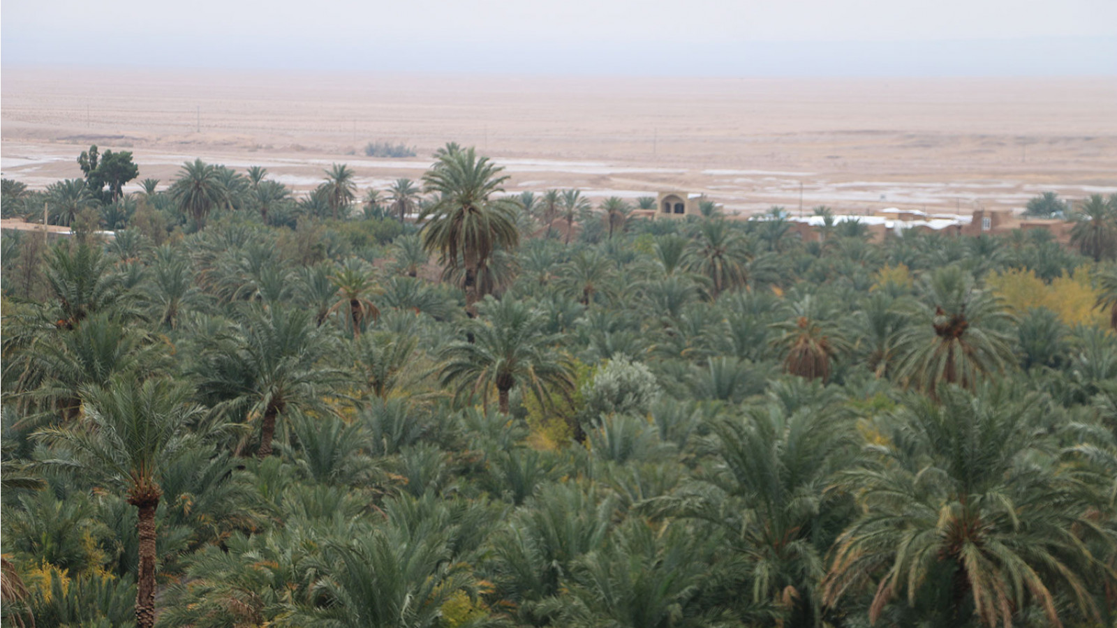 روستای مهرجان